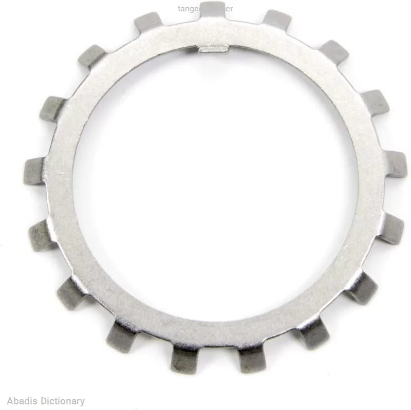 tanged washer
